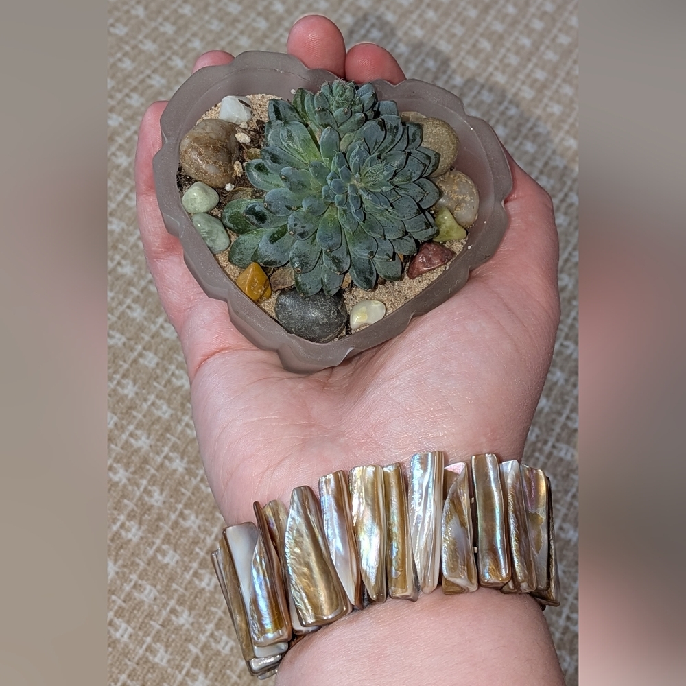 Vintage Mother of Pearl Stretch Bracelet in Iridescent Cream-Brown - Picture 3 of 4
